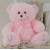 Teddy Bear Baby Sitting Pink 30cm +$24.95